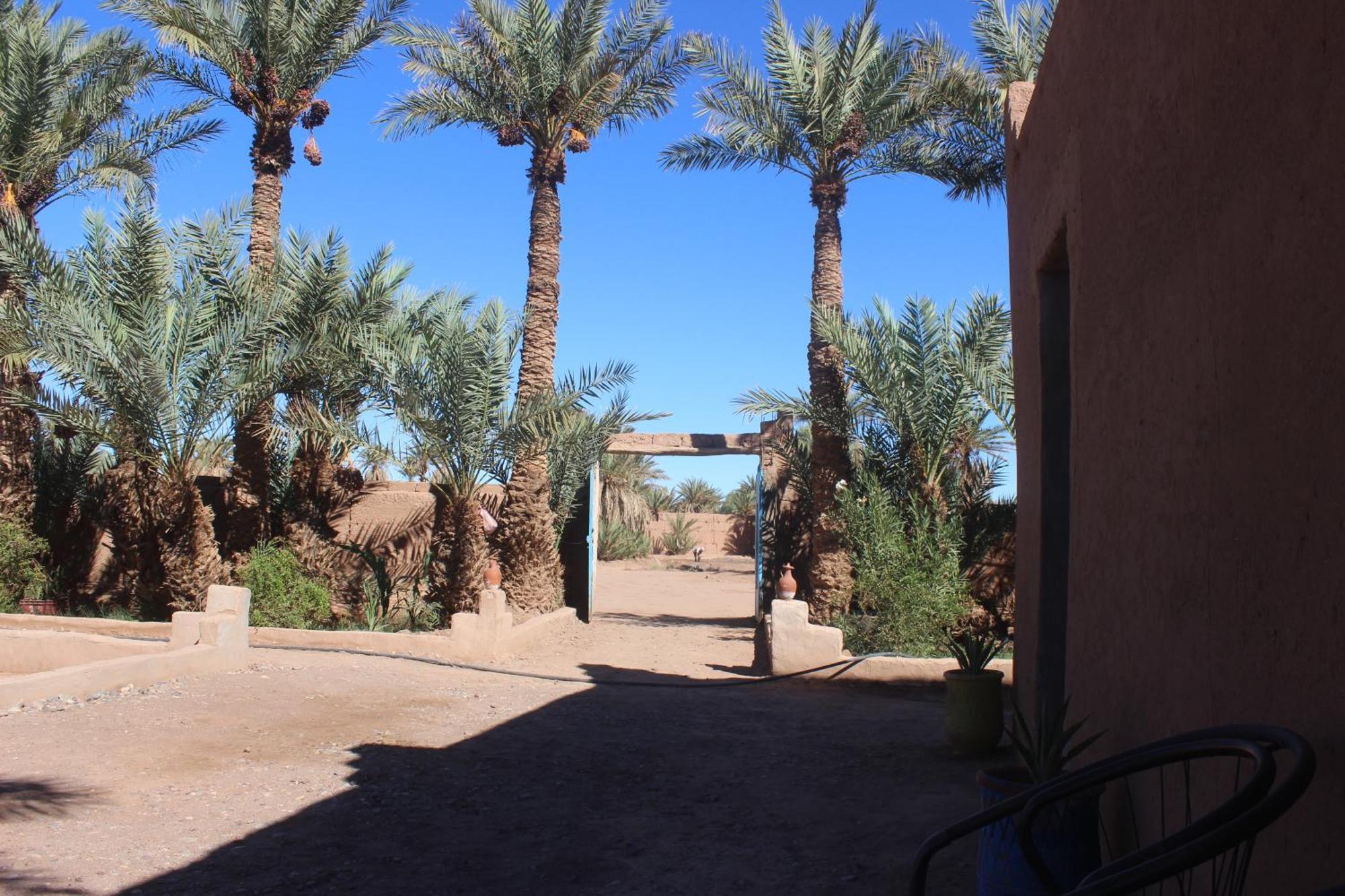 Kasbah Desert Camp M'Hamid Buitenkant foto